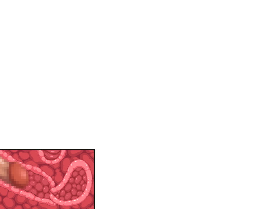 Hime Kishi Liana ~Mesubuta Hime no Inmon Choukyou~ page 7 full