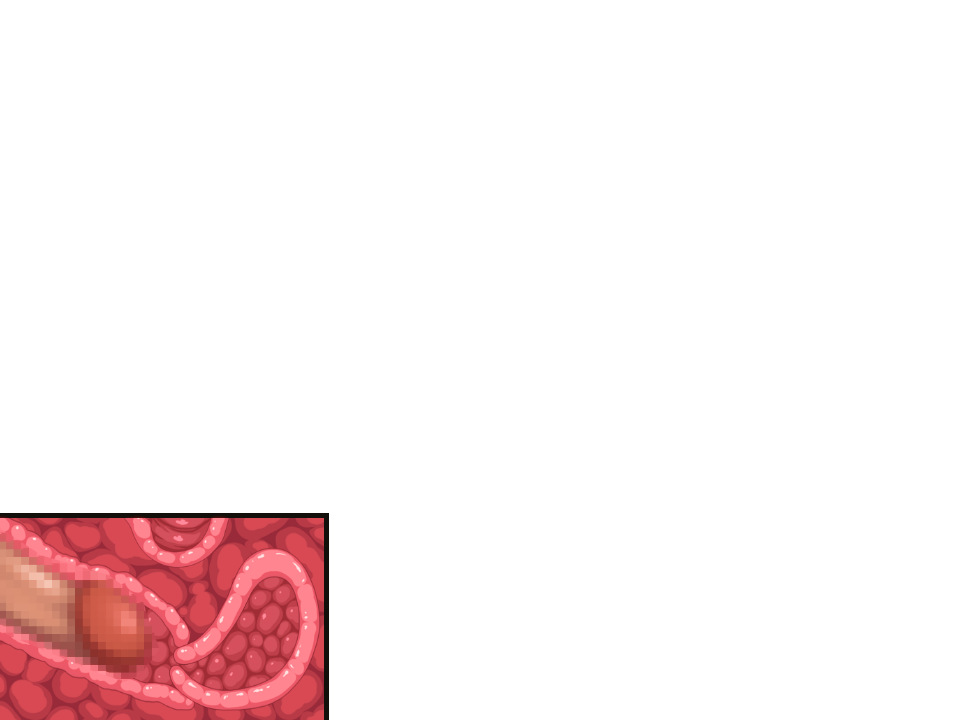 Hime Kishi Liana ~Mesubuta Hime no Inmon Choukyou~ page 9 full