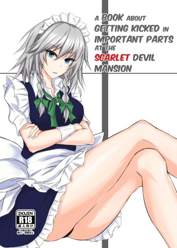 Koumakan de Daiji na Tokoro o Kerareru Hon | A book about getting kicked in important parts at the Scarlet Devil Mansion cover