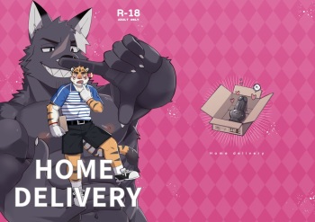 Home Delivery cover