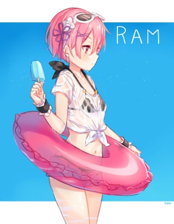 Ram cover