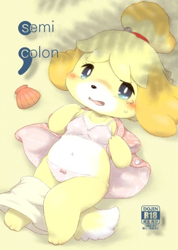 semi colon cover