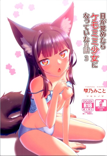 Me ga Sametara Kemomimi Shoujo ni Natteita Ohanashi 3 cover