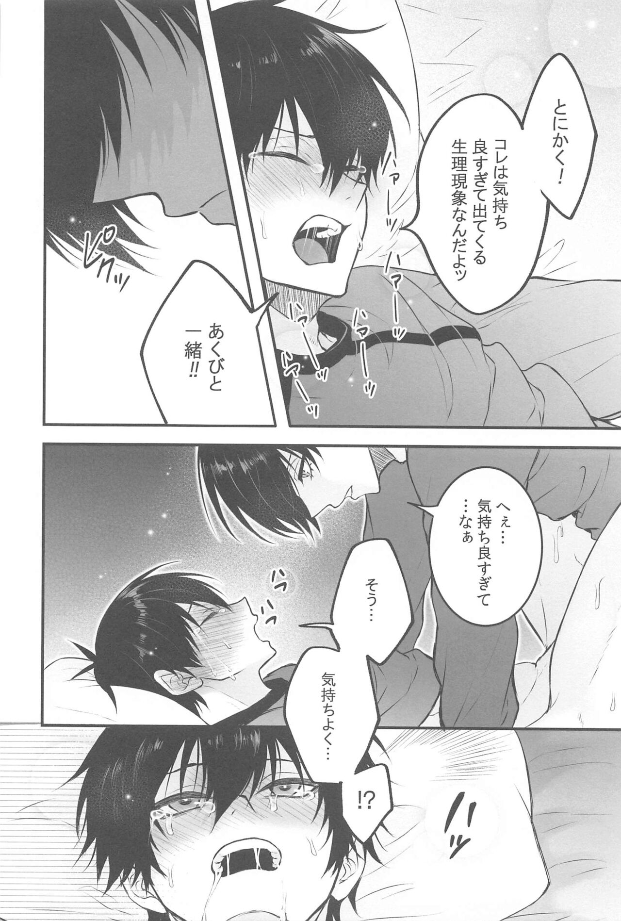 RINISA VARIETY PACK page 9 full