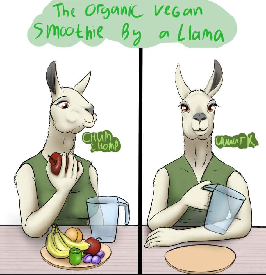 The Organic Vegan Smoothie by a Llama + Extras page 1 full