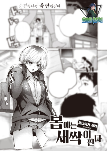 Haru ni Mebuku | 봄에는 새싹이 핀다 cover