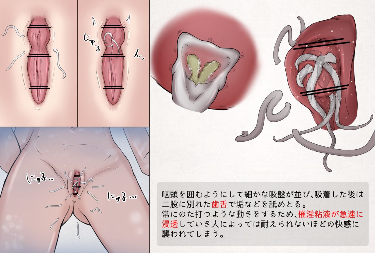蟲研究レポートEX_No.07 page 3 full