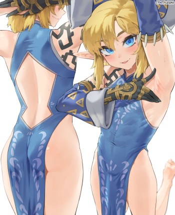 Link cover