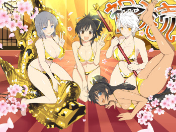 Shinobi Master Senran Kagura New Link Chara Artwork HD cover