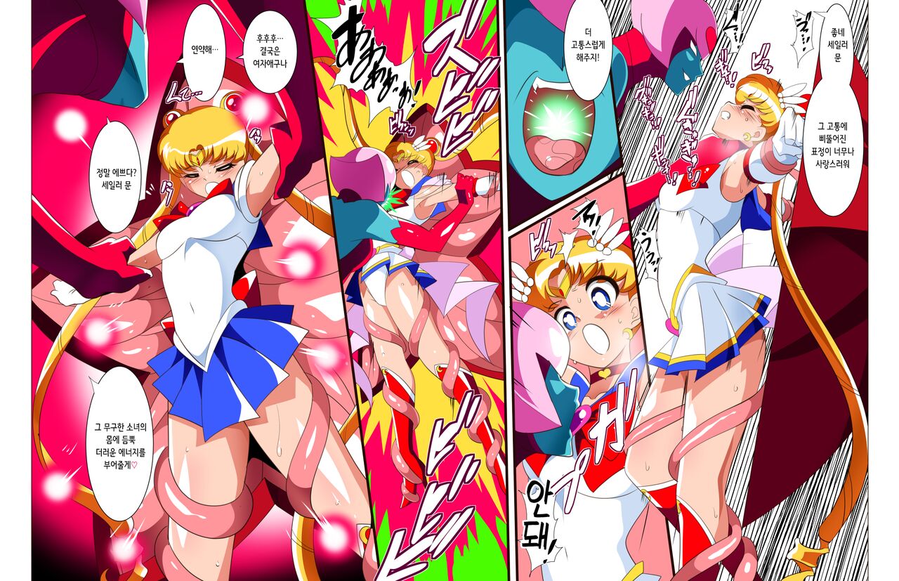Sailor Senshi no Kunan | 세일러 전사의 고난 page 4 full