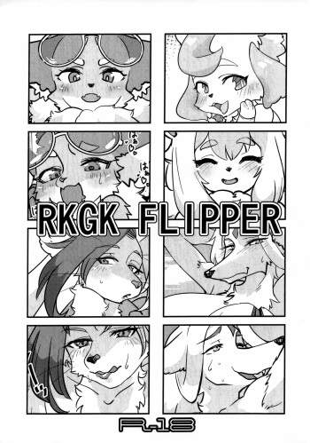 RKGK FLIPPER cover