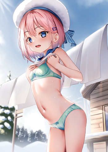 雁nicknikg cover