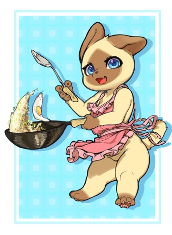 Palico Wife cover