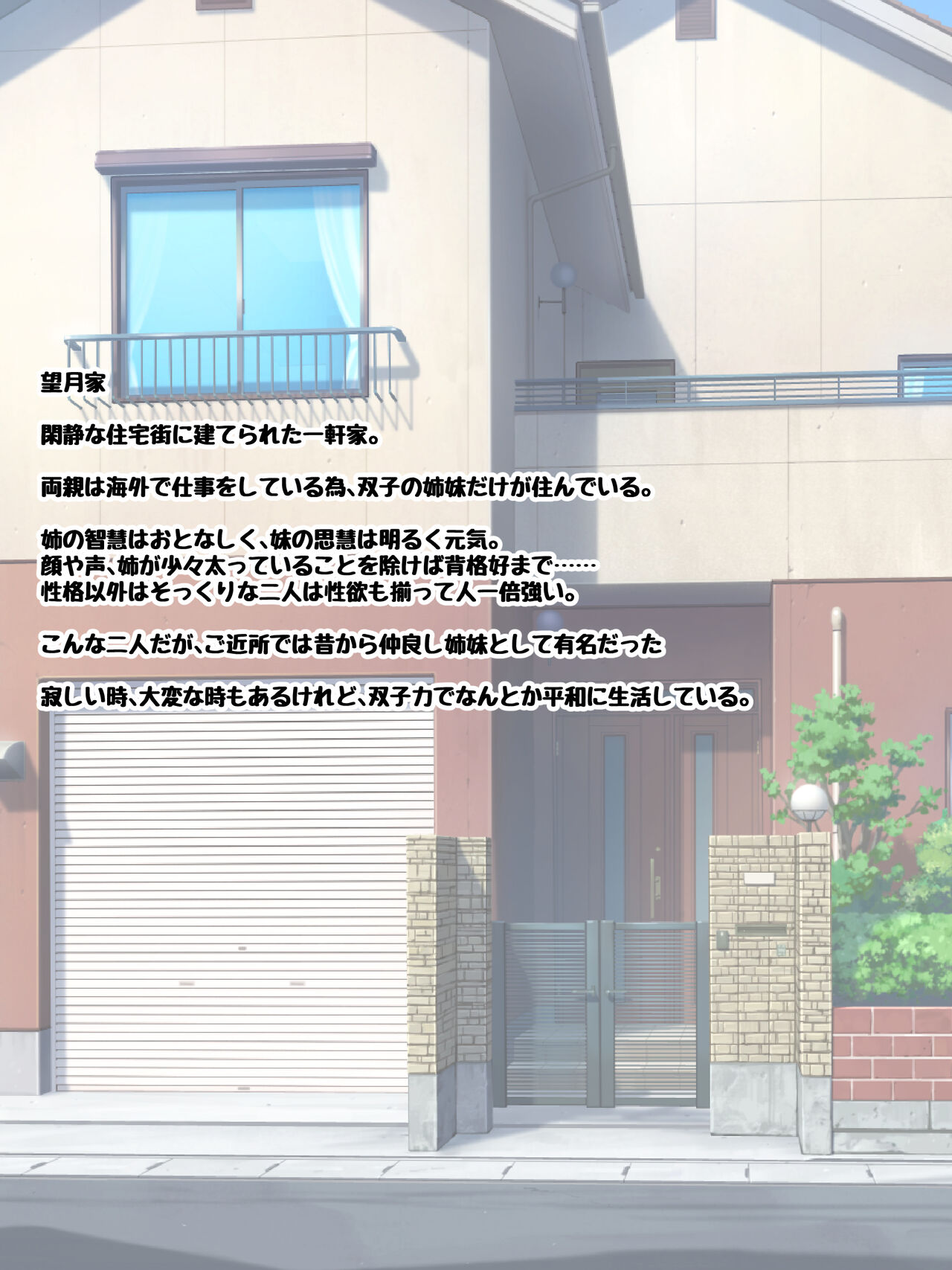 イチャラブツインズ ～オナニー大好き変態姉をお姉ちゃん大好き変態妹が犯したら～ page 3 full