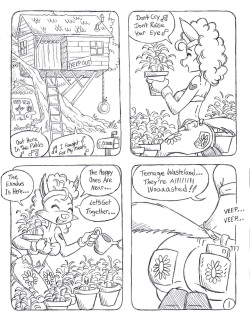 Secret Garden
