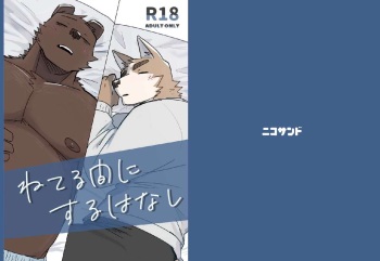 Neteru Aida ni suru Hanashi cover