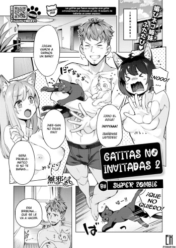Oyukake Nyanko | Gatitas no invitadas  2 cover