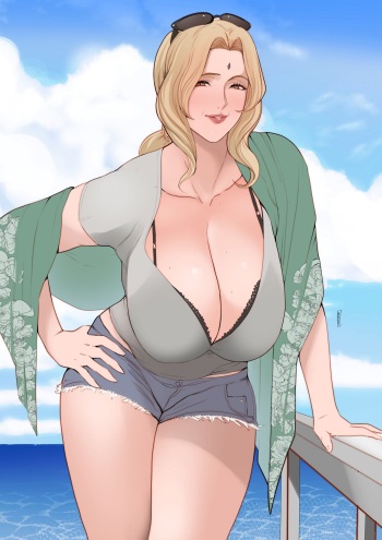 Hentai Collection 1 cover