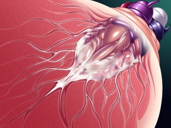 x-Ray_02 cover