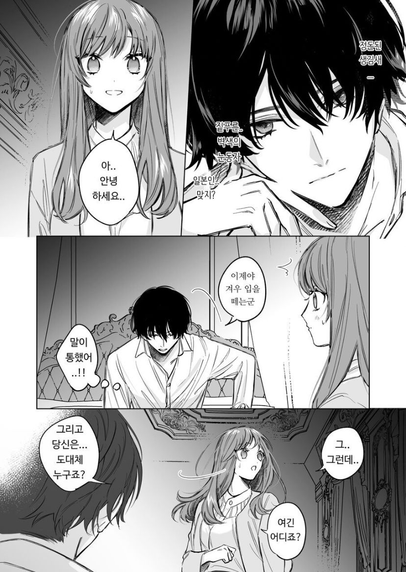 Reitetsu Ouji wa Dekiai no Soshitu ga Aru kamoshirenai | The Cold Hearted Prince May Yet Fall Madly in Love page 4 full