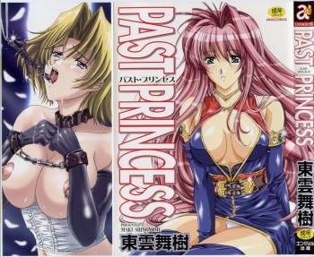 PAST PRINCESS cover
