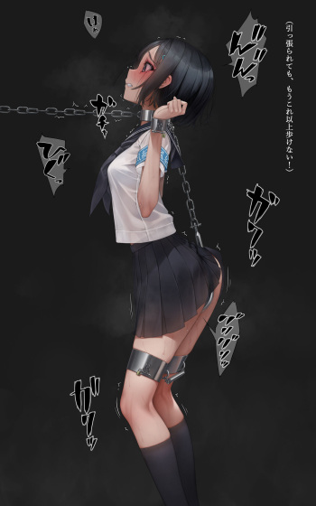 Anal Hook Discipline Committee cover