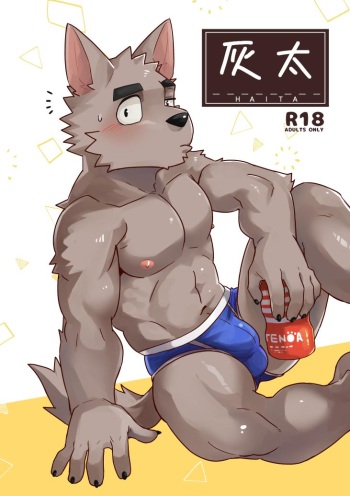 Haita cover