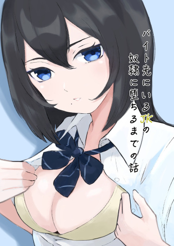 Beit-saki ni Iru JK no Dorei ni Ochiru made no Hanashi cover