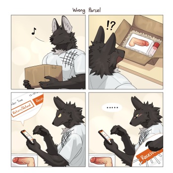 Wrong Parcel cover
