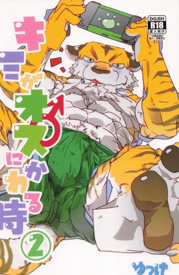 when you turn into a male 2 - kimi ga osu ni kawaru toki 2 cover