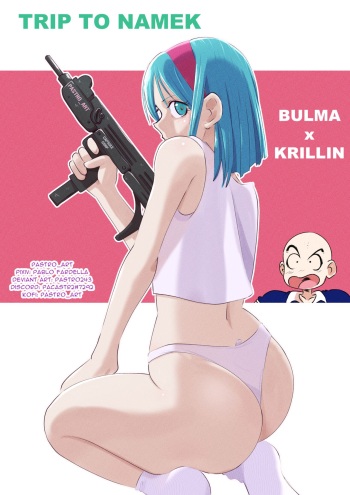 Trip to Namek cover