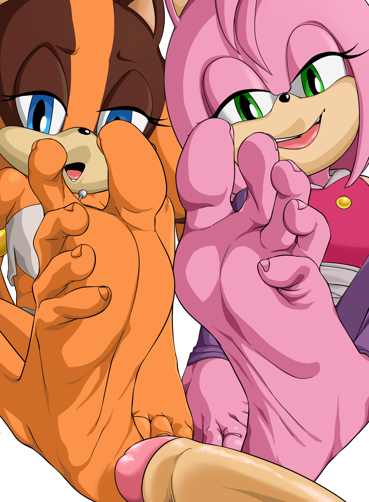 Amy Rose &amp; Sticks Fullset page 1 full