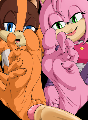 Amy Rose &amp; Sticks Fullset cover