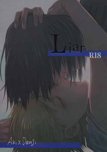Liar cover