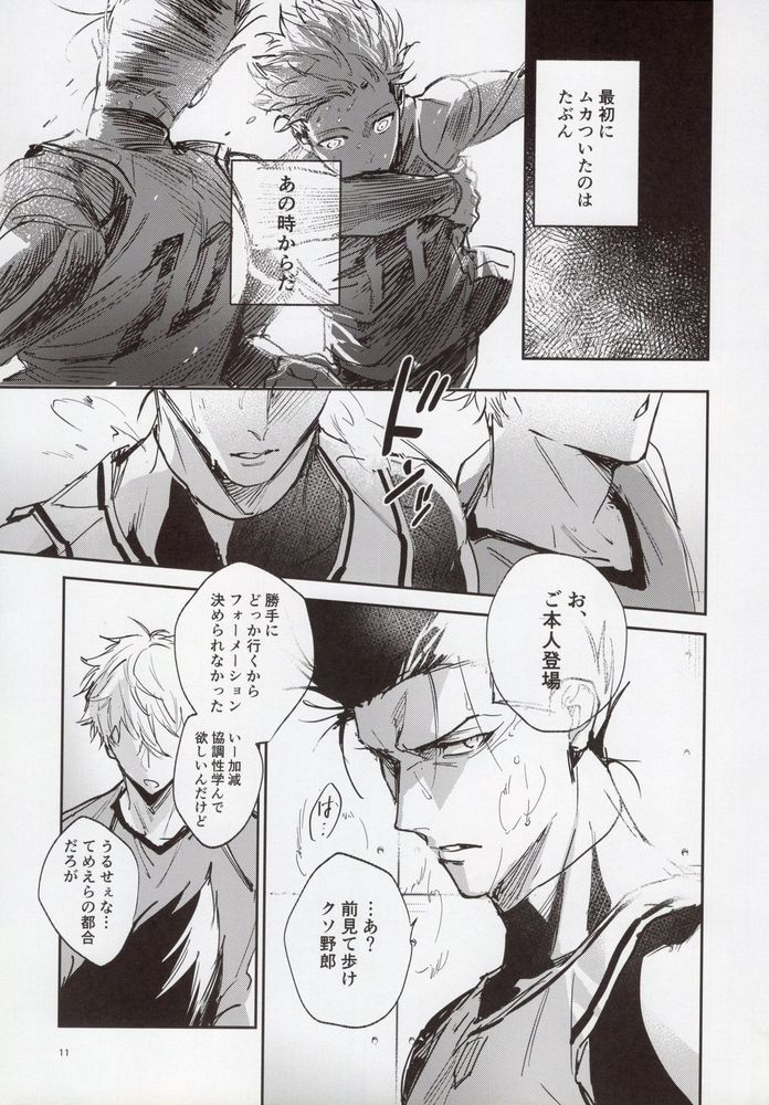 VIVID ADDITIVE MIXTURE page 10 full