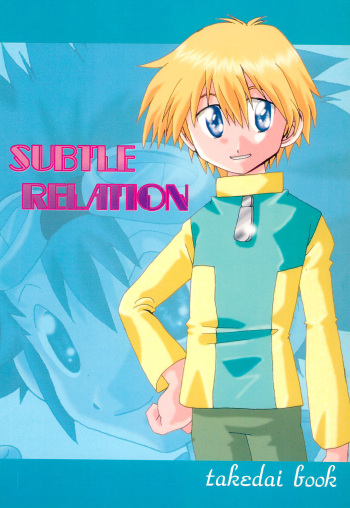 SUBTLE RELATION cover