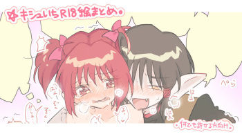Kishu ichi ero e matome 5 cover
