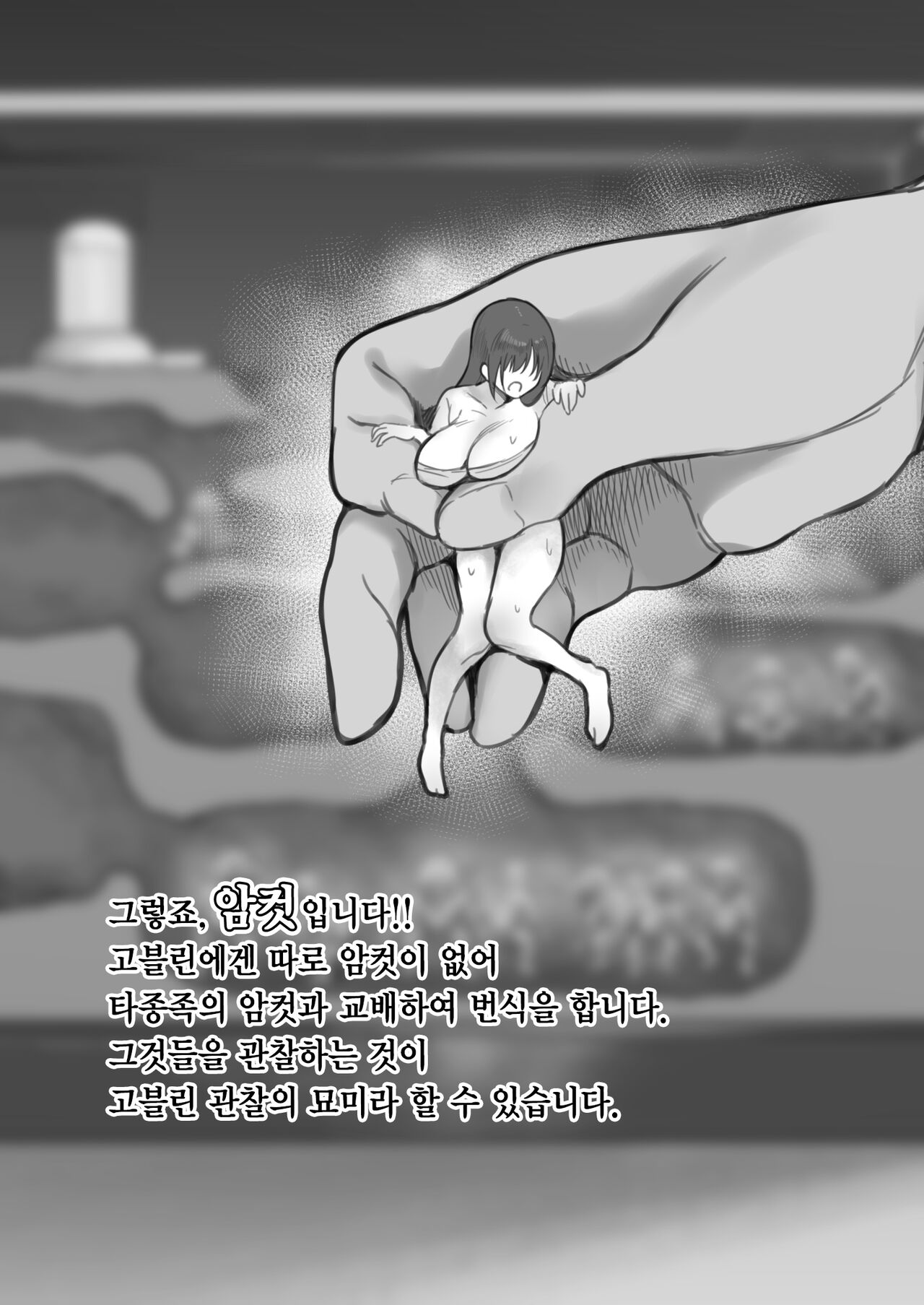 Goblin no Suana ni Mesu o Irete Kansatsu Shita Kekka ga Yabasugita |  고블린 굴에 암컷을 넣고 관찰한 결과가 실로 놀라웠다 page 3 full