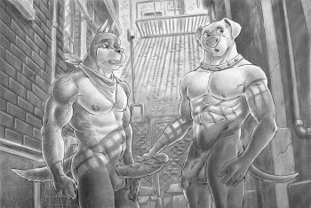 Furry Revolution Image Pack #24 cover