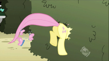 Fluttershy Plot cover
