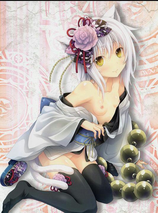 Highschool DxD LN illustrations page 5 full