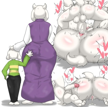 Toriel cover