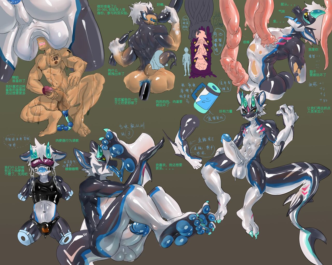 TFS Gallery 2 page 1 full