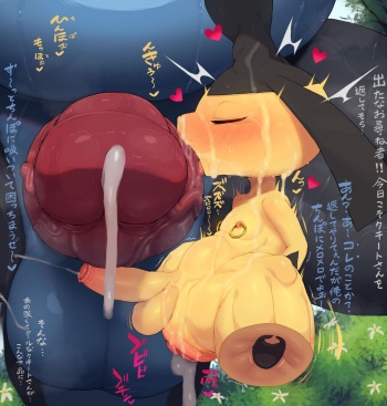 Kuchi cover
