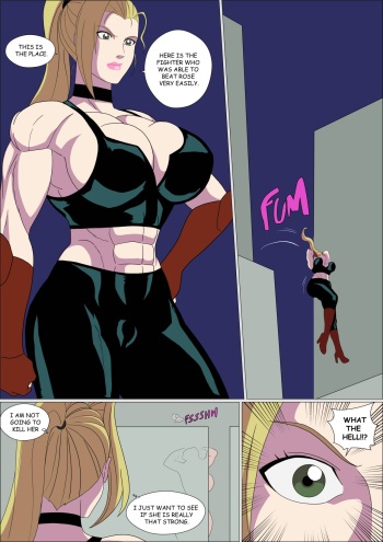 Street Fighter Girls cover