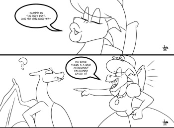 Catching a Charizard cover