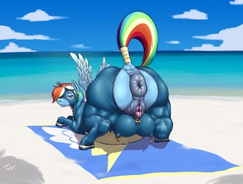 Rainbow Dash #2 cover