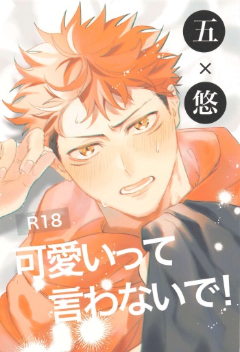 Kawaii tte  Iwanaide! cover