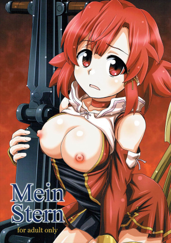 Mein Stern cover