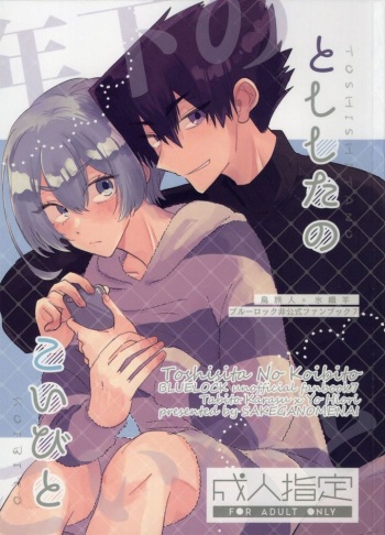 Toshishita no Koibito cover